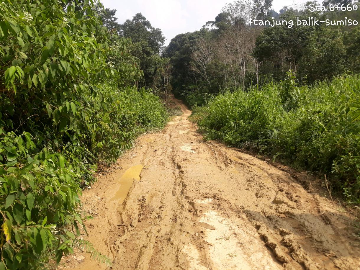 Survey Kondisi Jalan Tanjung Balik - Sumiso